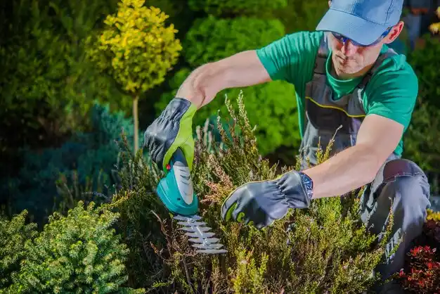 landscaping services Lime Lake